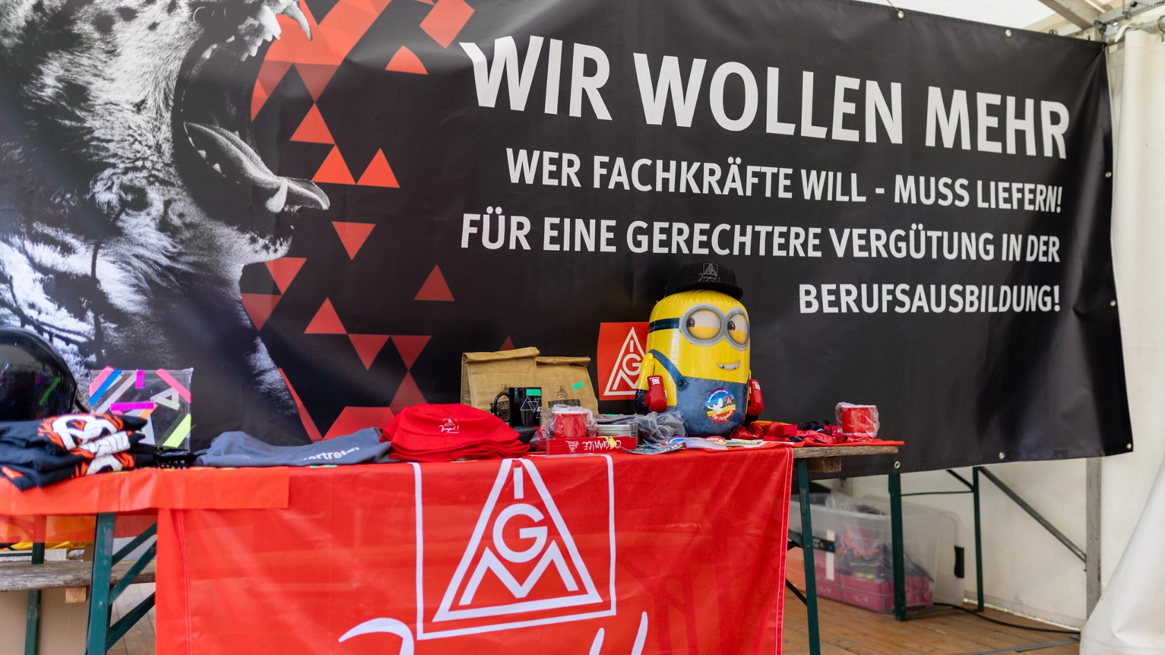 campinfo_campdelarevolucion_2024