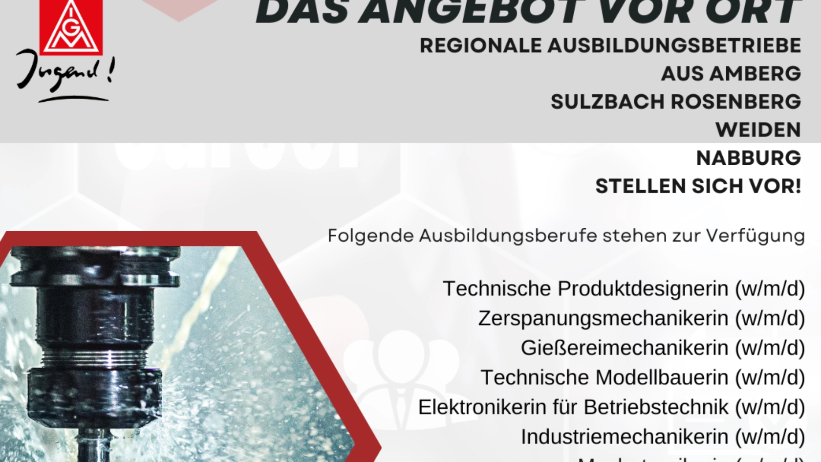 Ausbildungsberufe und -betriebe