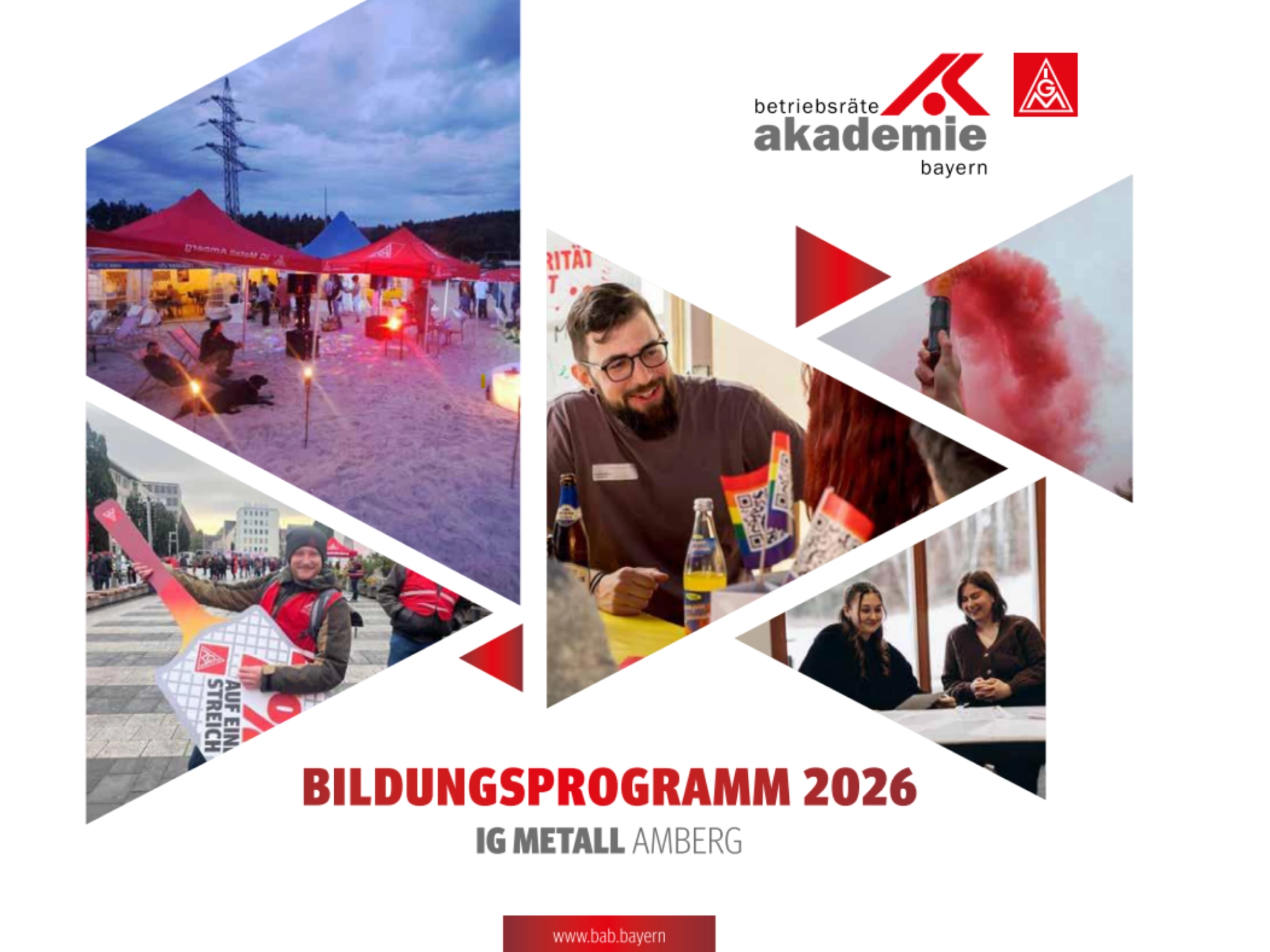BiPro_Amberg_2026