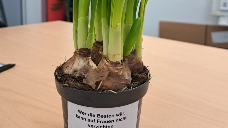 Am Internationalen Frauentag setzt die IG Metall Amberg ein Zeichen: Aktionen in Betrieben wie emz, Grammer & Luitpoldhütte für Gleichberechtigung. Engagement für eine gerechtere Arbeitswelt. #Gleichstellung #IGMetallAmberg #Frauentag