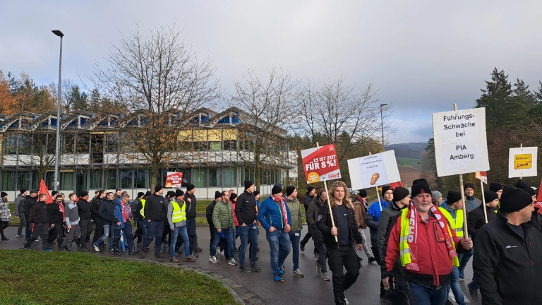 gemeinsame Warnstreikkundgebung im Industriegebiet Immenstetten